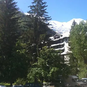 - Vue Mont Blanc , Chamonix France